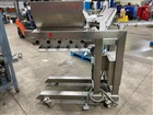 Raque Piston Filler