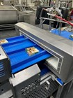 Raque Piston Filler