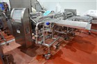 Raque Piston Filler